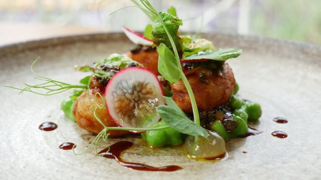 Culinary 1 1024x576